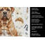 Serviette de cuisine Coffee Bar-1234934718