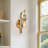 1-Light Dimmable Vanity Light