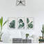 Palmera blanc triptyque-63364897