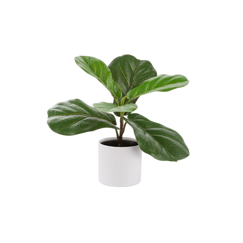 Artificial Ficus 12-in