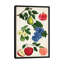 « fruit collection i », impression sur toile-29176826-72780963-72780957