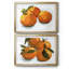 Citrus Grouping I - ensemble de 2 reproductions de cadres photo-113228166-113228167