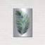 «Palmier non attaché VII I» par Grace Popp-90615764