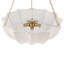 6 - Light Chandelier-343596613