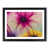 Black Framed selected