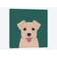Norfolk terrier, impression sur toile tendue-19741903-74756423-74756424