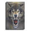 «Wolf» par Harro Maass-1139818769