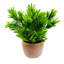 22cm Faux Plant in Terracotta Planter