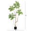 5 pi Pieris artificiel