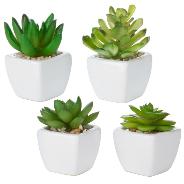 Primrue 3.25'' Faux Succulent Plant in Ceramic Planter & Reviews | Wayfair