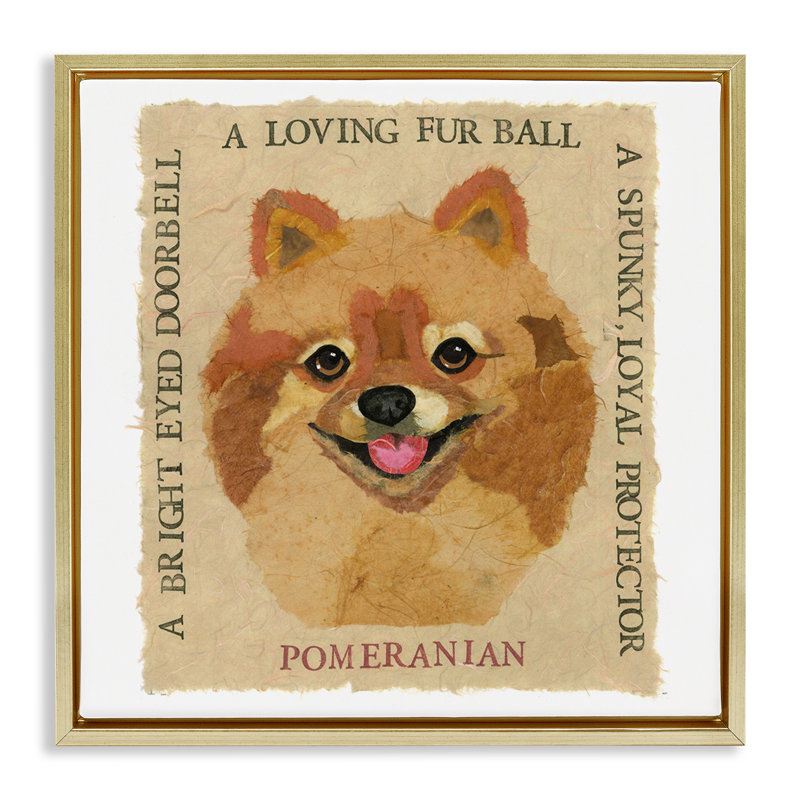 "Fun Pomeranian Pet", art mural encadré flottant par Nancy Overton, Cadre flottant métallique doré, H 25 po x l 25 po
