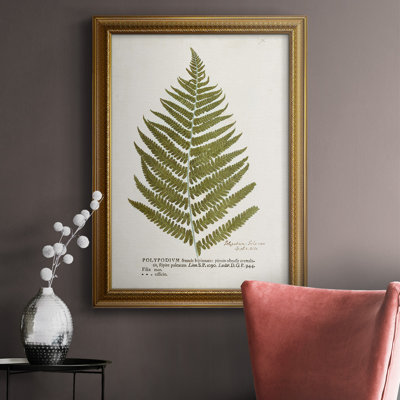 " Nature Printed Ferns II "