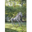 Stainless Steel Horse Pipe Statue