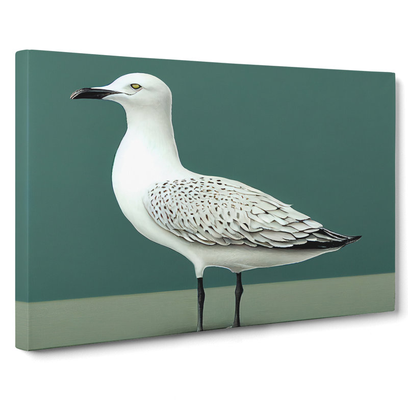 View Of A Seagull - Wrapped Canvas, 40cm H x 60cm W x 3cm D
