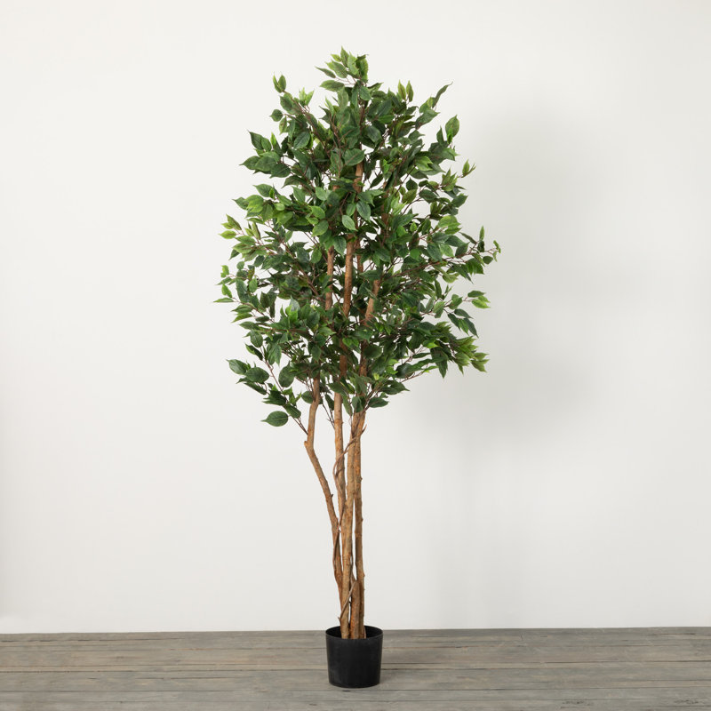Ficus artificiel 86 po en pot