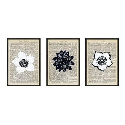 Flowers Set of 3 Framed Print by Michela Sorrentino