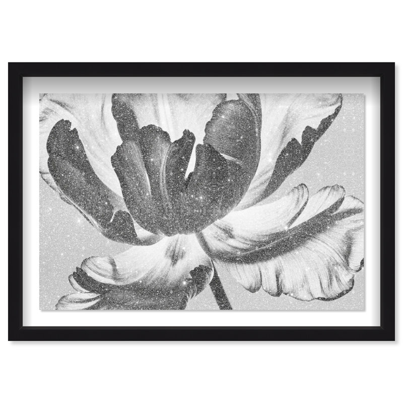 Full Bloom Framed Graphic Art, 17.5" H x 25.5" W, Black Shadowbox