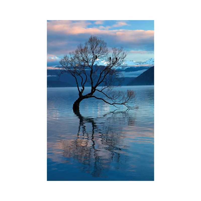 That Wanaka Tree Reflected In Lake Wanaka, Otago, South Island, New Zealand by David Wall - Wrapped Canvas Gallery-Wrapped Canvas Giclée