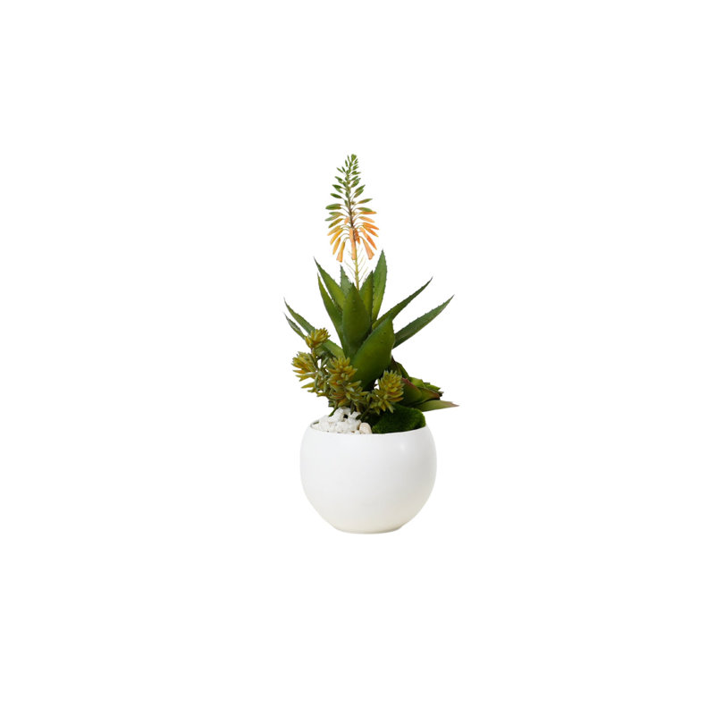 Agave Succulent Arrangement in White Ceramic Sphere