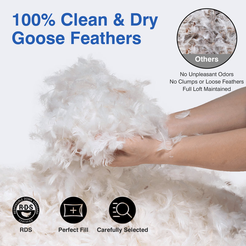 Luxury Goose Feather Pillows With Cotton Cover, Goose Down Medium Comfort Pillow, Standard