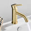 Single Hole Bathroom Faucet-122001066