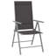 Gould Folding Recliner Chair-1184578575-1184578574