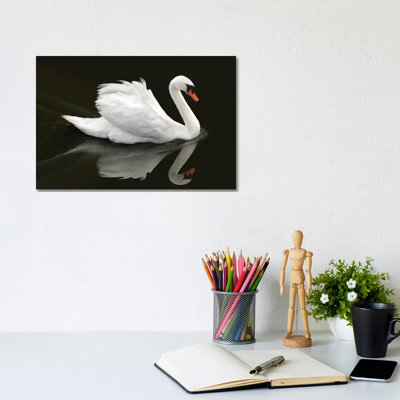 " Swan " by Ben Heine