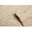 Tapis crème Sienna 5 pi 0 po x 8 pi 5 po