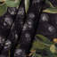 Tapisserie murale «Fruit Jaboticaba»-1731354725