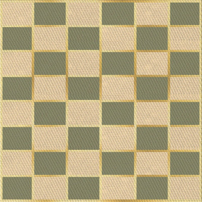 Checkered Indoor Rug