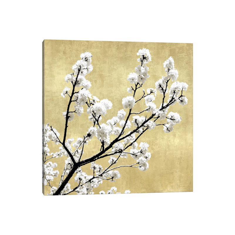 Blossoms On Gold II by Kate Bennett - Print on Canvas, 30.48cm H x 30.48cm W x 1.91cm D, Wrapped Canvas