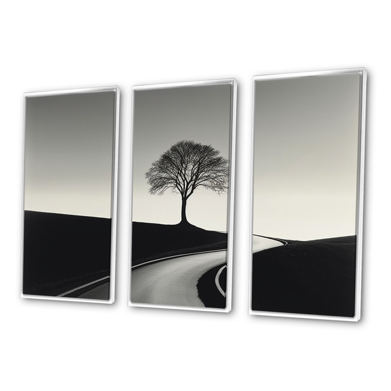 «Black and White Road», ensemble de reproductions d'art mural, Cadre flottant blanc, H 28 po x l 36 po x P 1 po