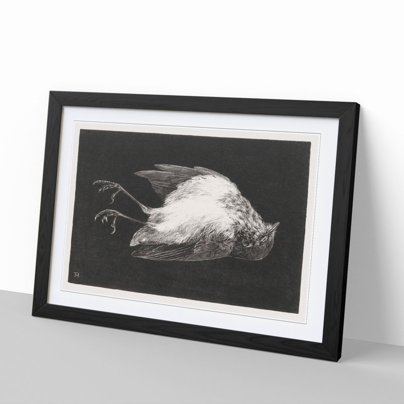 Dead Robin by Theo Van Hoytema - Picture Frame Graphic Art, Black Framed, 27cm H x 36cm W x 2cm D