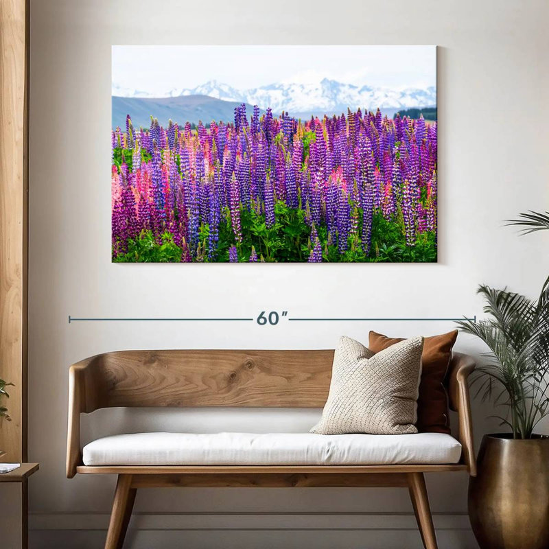 Fleurs de lupin lavande Alvord, H 32 po x l 48 po