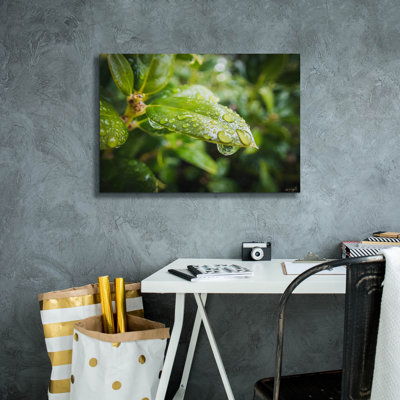  «Droplet Of The Leaf 5» par Life BeautifuLEE, art mural sur toile, 26 po x 18 po