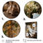 Valice Farmhouse Gentle Breeze II-1374587245-1374587243