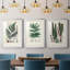 «Ferns IV», reproduction encadrée de qualité supérieure - prête à être accrochée-69879233-69879230