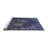 Oriental Indoor Rug-1530342721