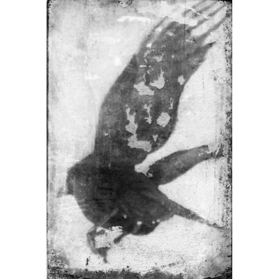 Flight IV - Painting