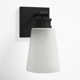 Libre Single Light Glass Steel Dimmable Armed Sconce