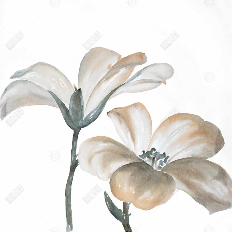 " Beautiful Desaturated Flowers "