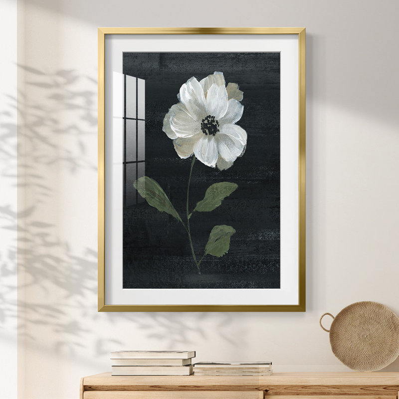 Salazar -Gallery Wrapped Canvas