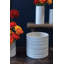 Tennyson Ceramic Indoor Pot Planter
