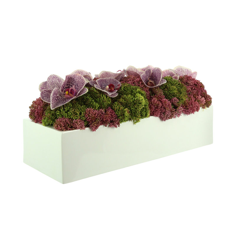 Sedum and Orchids Arranged in Fiberstone Planter