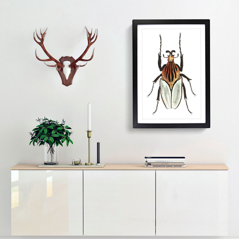 Cacique Beetle by George Shaw - Framed Print, 36cm H x 27cm W x 2cm D, Black Framed