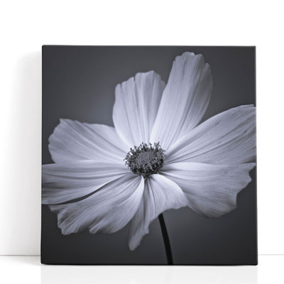 Cosmos Flower 2 - reproduction d'art sur toile