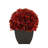 Synthetic Fabric Burgundy Hydrangea Arrangement in Planter-1148570087-1079741319
