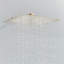 Pennsbury Adjustable Shower Head