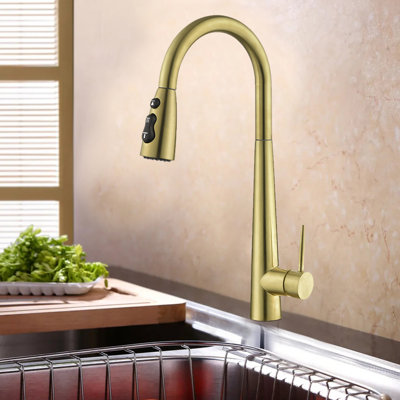 Pull Down Single Handle Kitchen Faucet With Accessories