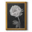 Fleurs noires et blanches II, toile encadrée de qualité supérieure - prête à être accrochée-1539464130-1485671355
